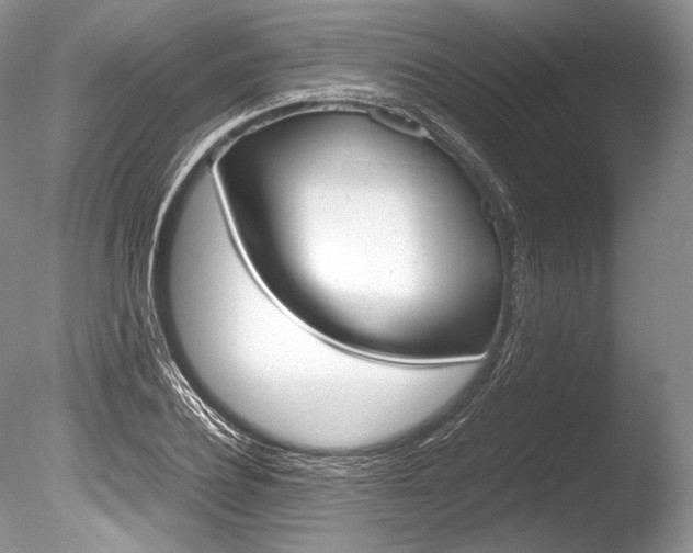 X0000086310932200703300952