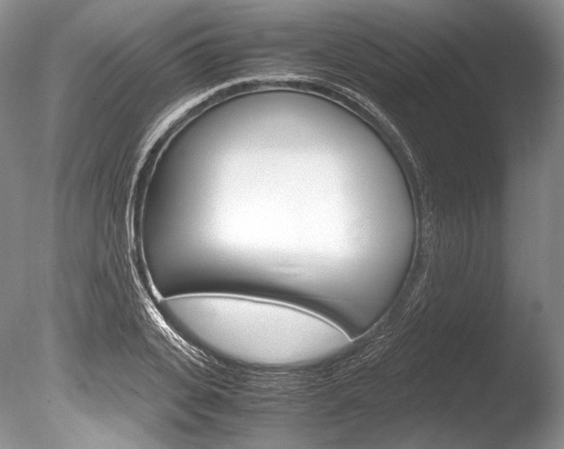 X0000086310935200703300952