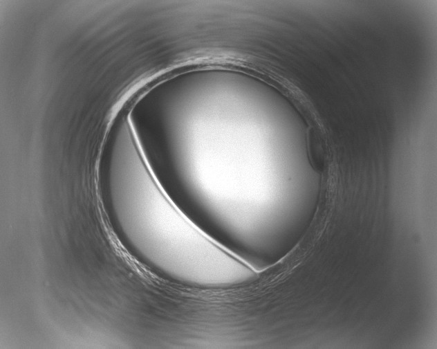 X0000086310936200703300952