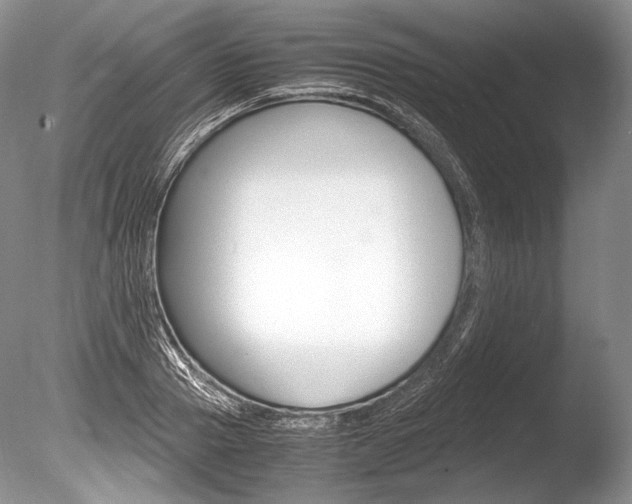 X0000086310937200703300952