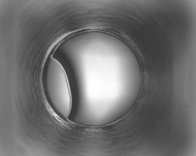 X0000086310939200703300952