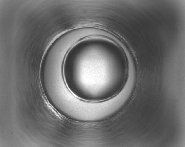 X0000086310940200703300952