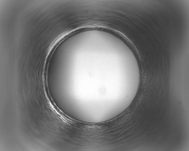 X0000086310943200703300952