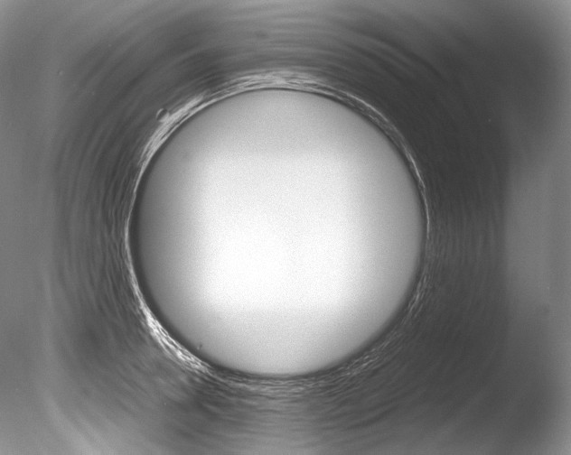 X0000086310946200703300952