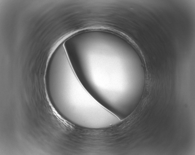 X0000086310951200703300953