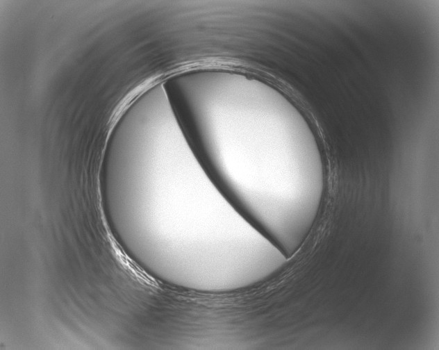 X0000086310954200703300953