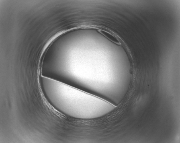 X0000086310955200703300953