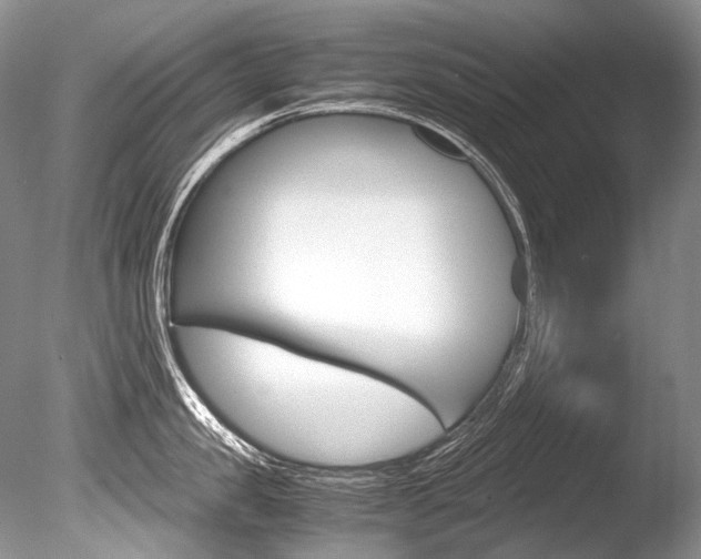 X0000086310957200703300953