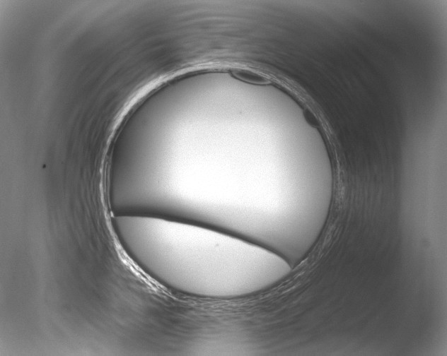 X0000086310958200703300953