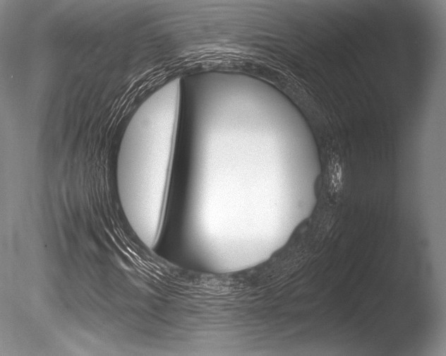 X0000086310964200703300952