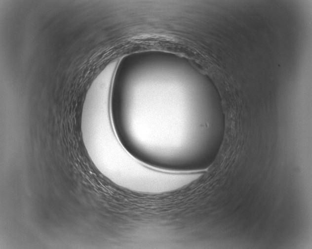 X0000086310965200703300952