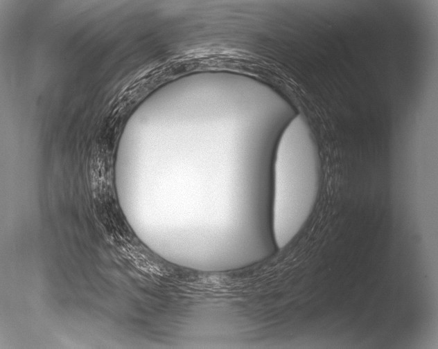 X0000086310966200703300952