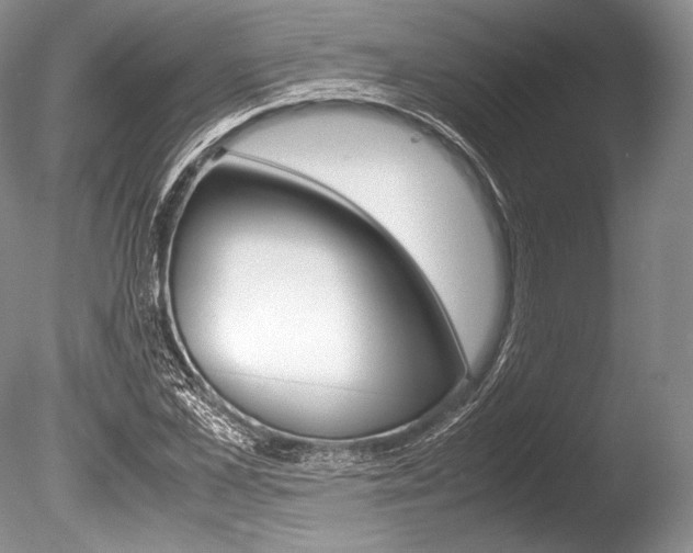 X0000086310973200703300952
