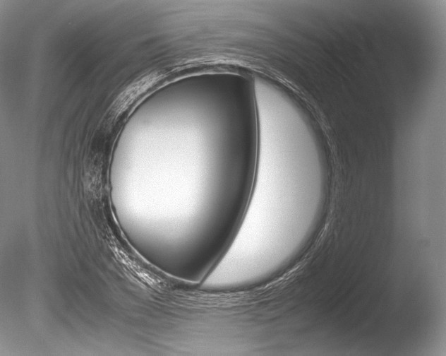 X0000086310977200703300952