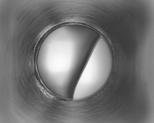 X0000086310980200703300952
