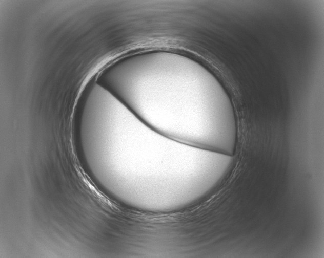 X0000086310982200703300951