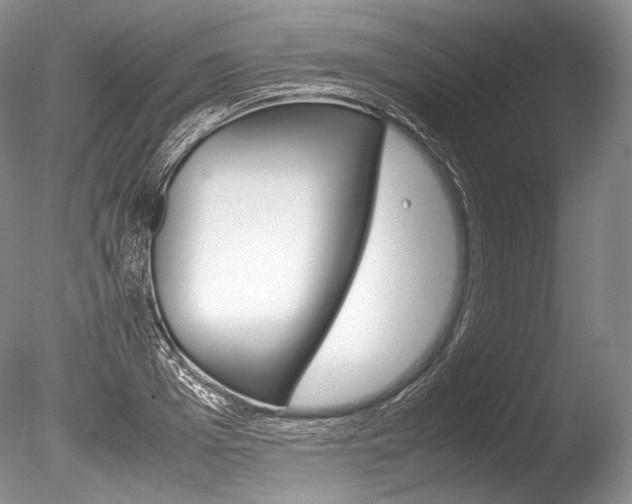 X0000086310985200703300951