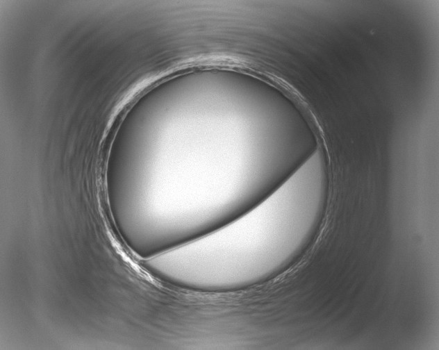 X0000086310989200703300951
