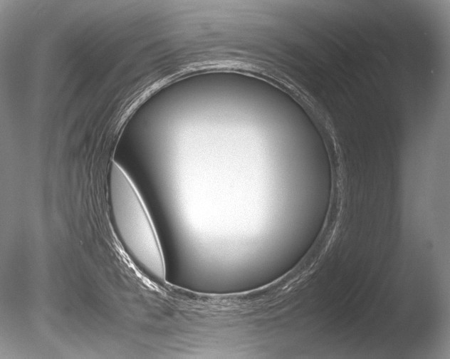 X0000086310993200703300951