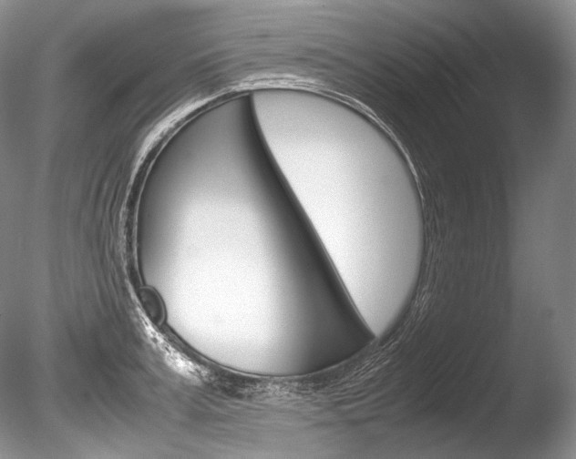 X0000086310995200703300951