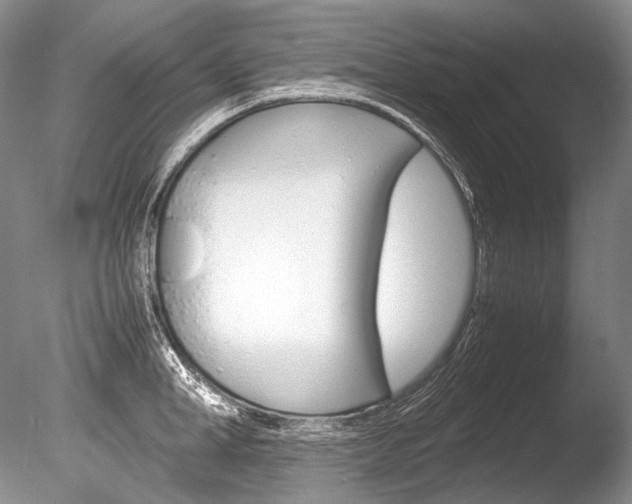 X0000086310998200703300951