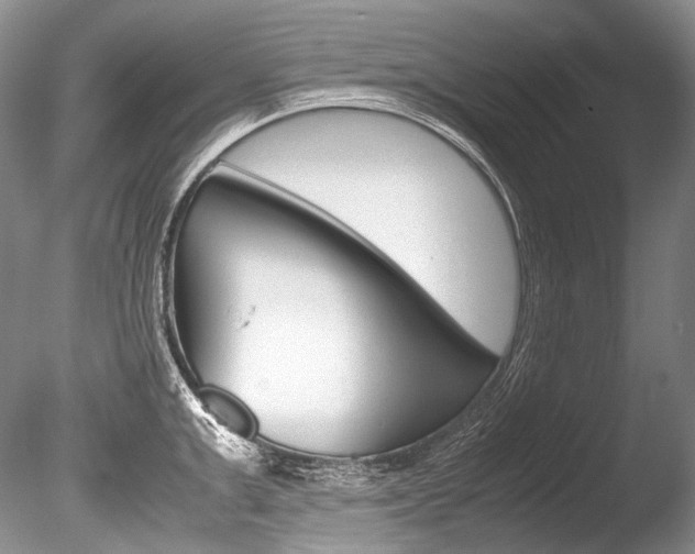 X0000086310999200703300951