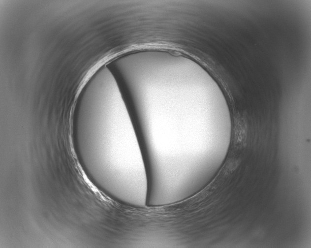 X0000086311006200703300951
