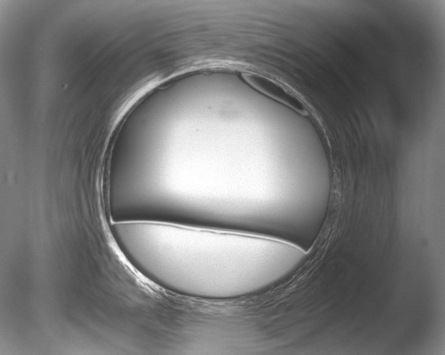X0000086311007200703300951