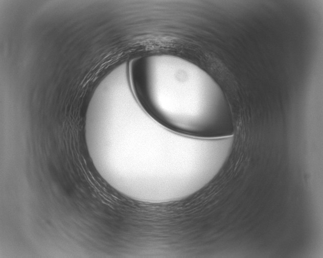 X0000086311012200703300950