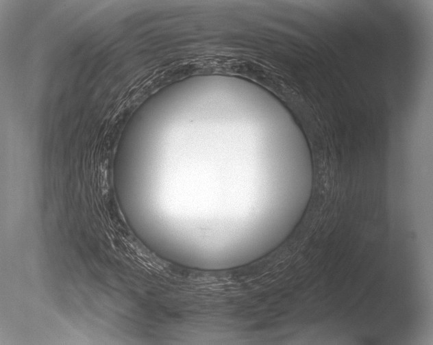 X0000086311013200703300950