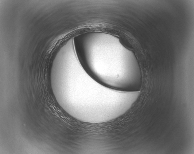 X0000086311016200703300950