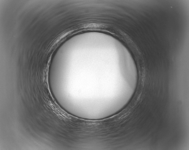 X0000086311017200703300950
