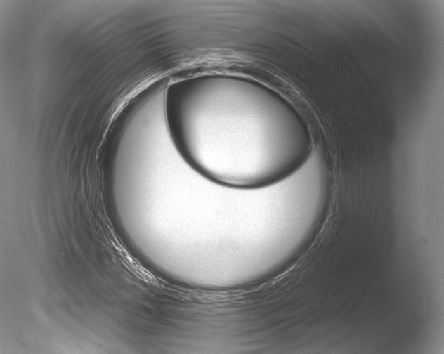 X0000086311018200703300950