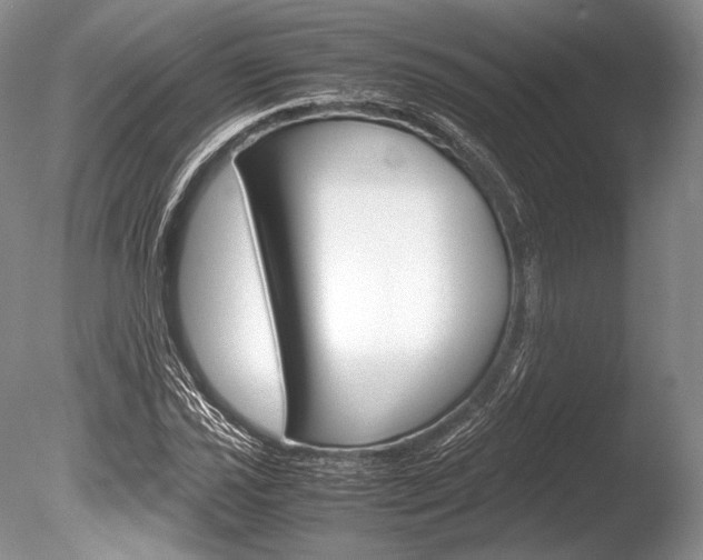 X0000086311021200703300950