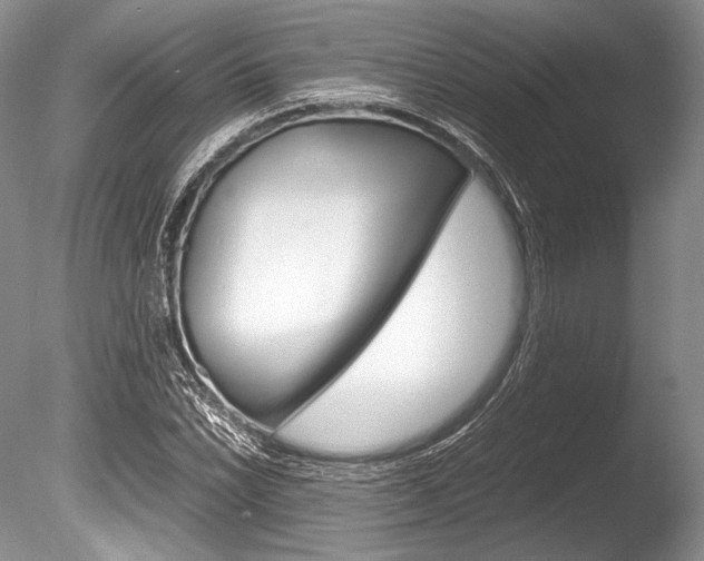 X0000086311022200703300950
