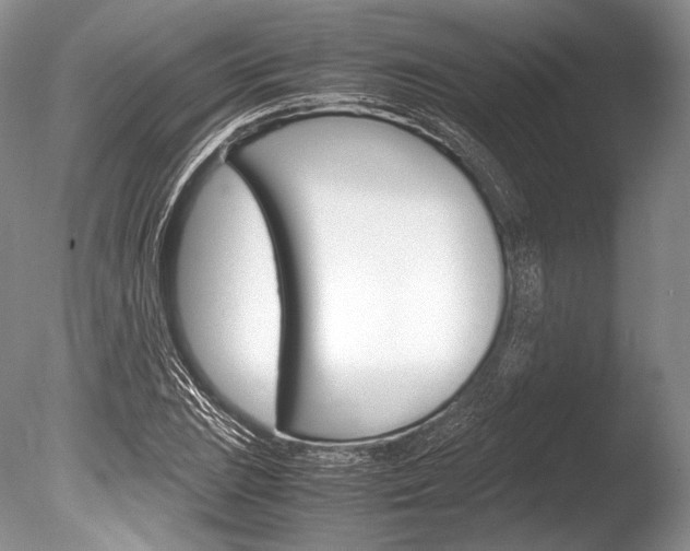 X0000086311023200703300950