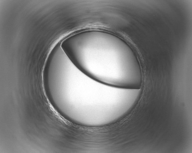 X0000086311032200703300951
