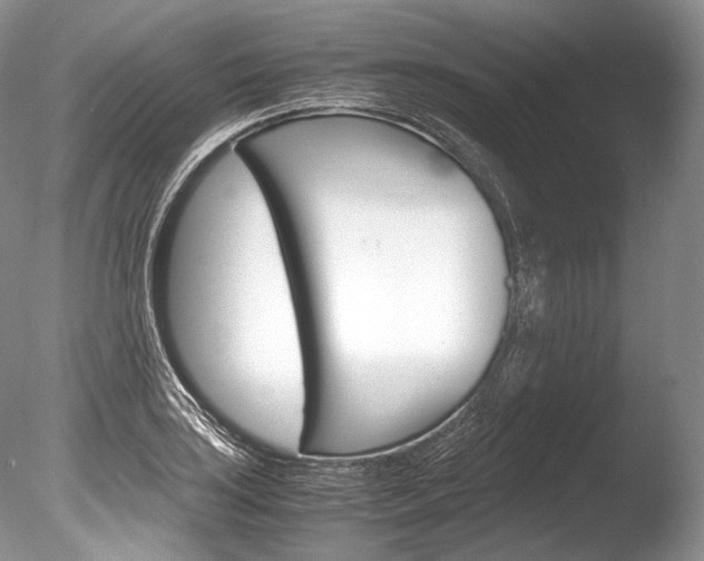 X0000086311035200703300951