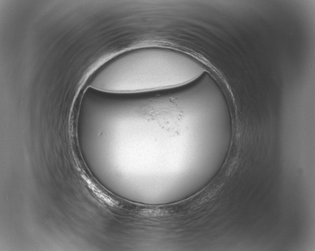 X0000086311037200703300951