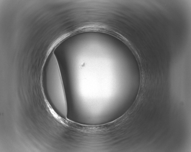 X0000086311042200703300951