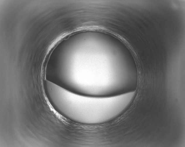 X0000086311046200703300951