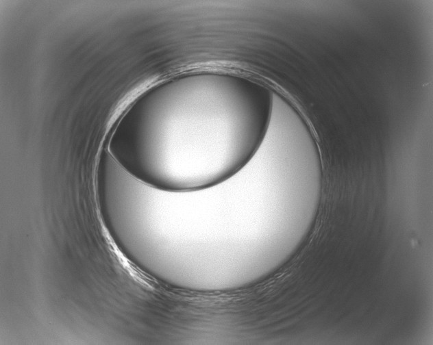 X0000086311050200703300951