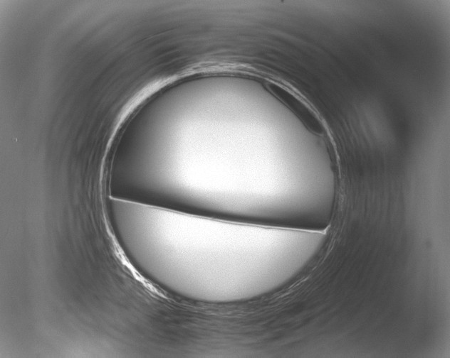 X0000086311053200703300951