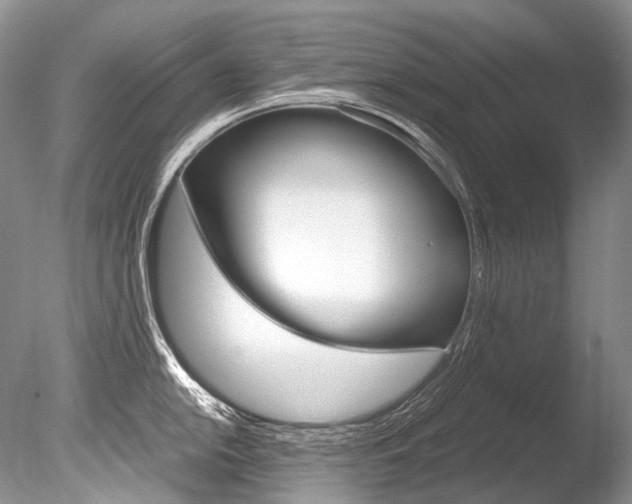 X0000086311054200703300951