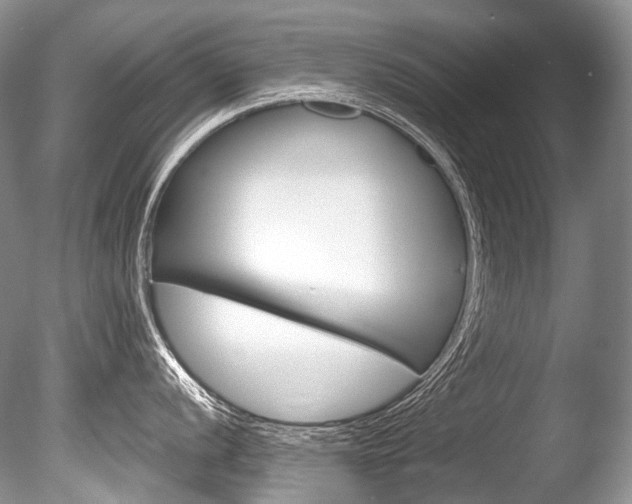 X0000086311056200703300951