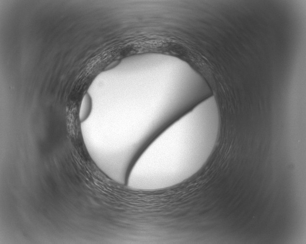 X0000086311059200703300950