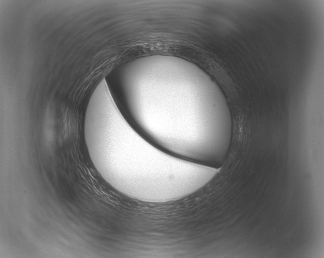X0000086311060200703300950