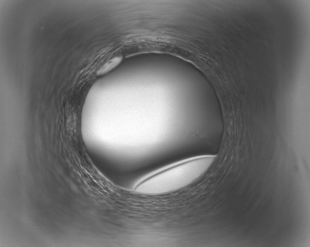 X0000086311061200703300950