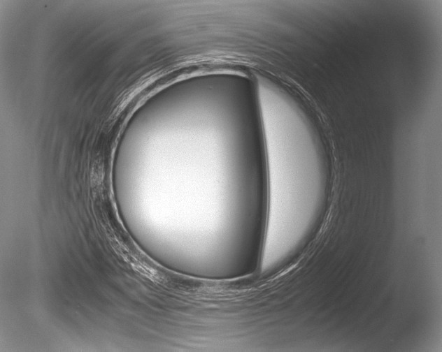 X0000086311065200703300950