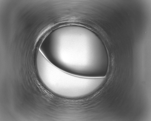 X0000086311069200703300950